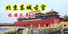 又黄又大的鸡巴插美女b视频中国北京-东城古宫旅游风景区